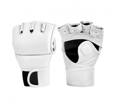 MMA Gloves